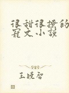 很甜很撩的校园宠文小说