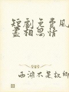 短剧免费风雪无尽相思情