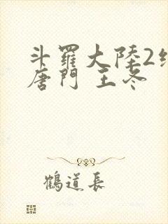 斗罗大陆2绝世唐门 王冬