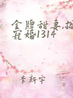 金牌甜妻,总裁宠婚1314