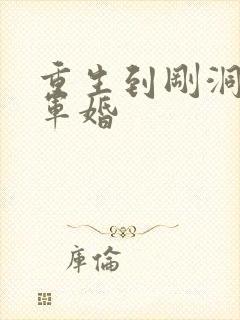 重生到刚洞房的军婚