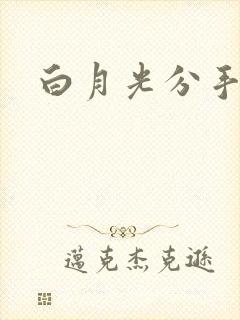 白月光分手日常