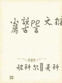 小说po 文推荐古言