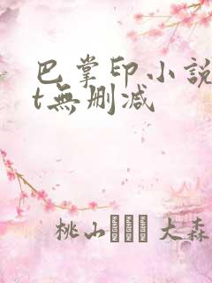 巴掌印小说txt无删减