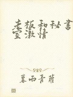 老板和秘书办公室激情