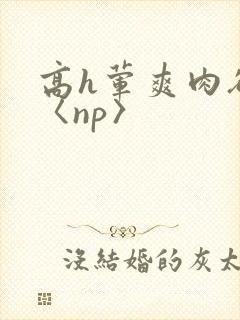 高h荤爽肉欲文〈np〉