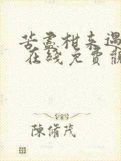 苦尽柑来遇见你 在线免费观看