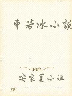 曹若冰小说