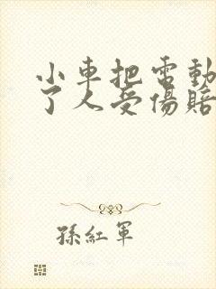 小车把电动车撞了人受伤赔偿标准