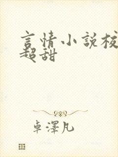 言情小说校园文超甜