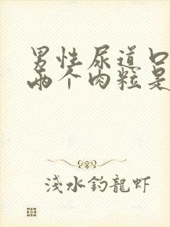 男性尿道口长了两个肉粒是怎么回事