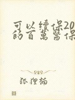 可以续保20年的百万医保有哪些