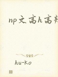 np文高h高辣
