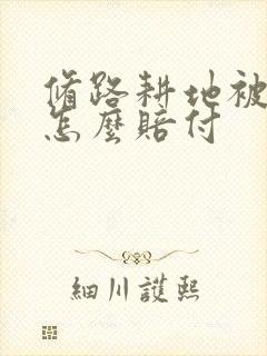 修路耕地被占用怎么赔付