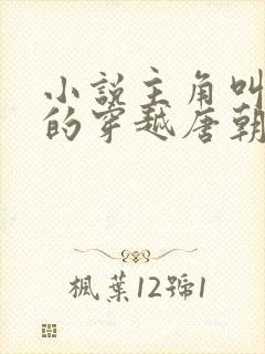 小说主角叫李辰的穿越唐朝小说