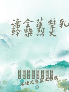 潘金莲双乳晃动干柴烈火