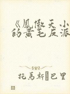 《凤傲天小说里的黄毛反派也想幸福》
