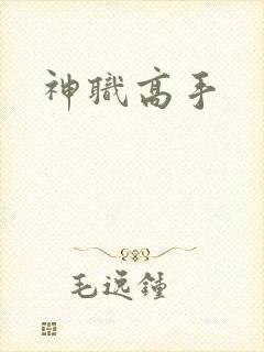 神职高手
