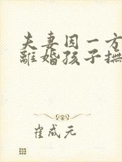 夫妻因一方出轨离婚孩子抚养权怎么判定