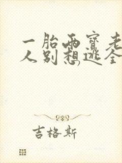 一胎两宝老婆大人别想逃全文阅读