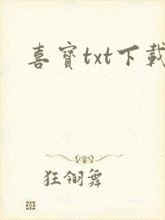 喜宝txt下载
