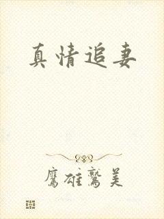真情追妻