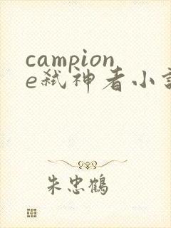 campione弑神者小说