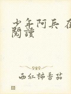 少年阿兵 在线阅读