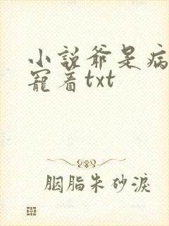小说爷是病娇得宠着txt