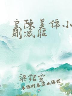 良陈美锦小说未删减版