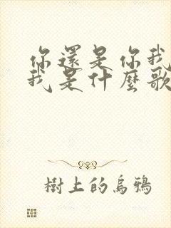 你还是你我还是我是什么歌的歌词