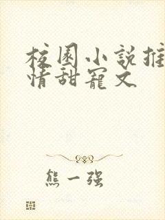 校园小说推荐言情甜宠文