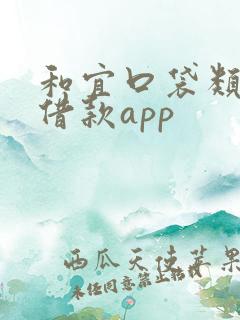 和宜口袋类似的借款app