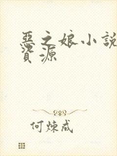 恶之娘小说网盘资源