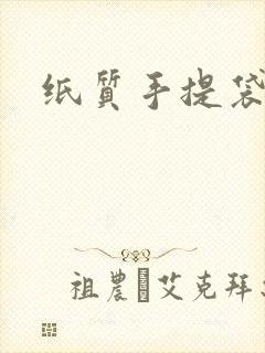 纸质手提袋价格