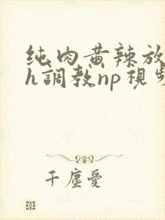 纯肉黄辣放荡高h调教np视频