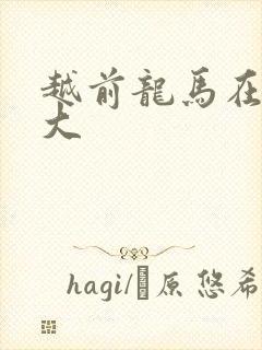 越前龙马在立海大