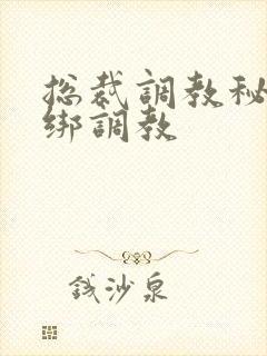 总裁调教秘书捆绑调教