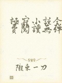 极宠小说全文免费阅读无弹窗