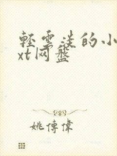 轻云淡的小说txt网盘