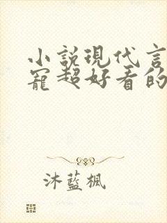 小说现代言情甜宠超好看的有肉