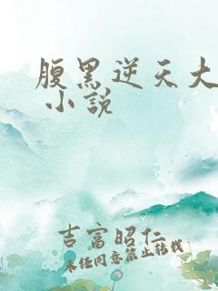 腹黑逆天大小姐 小说