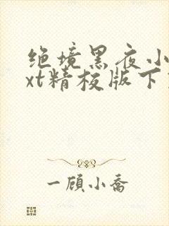 绝境黑夜小说txt精校版下载