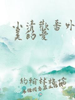 小清欢番外篇完美的爱