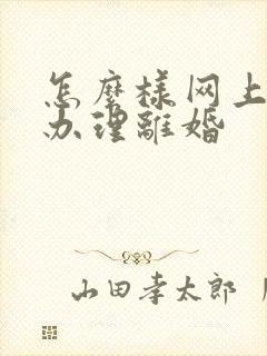 怎么样网上快速办理离婚