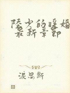 陆少的暖婚新妻 最新章节