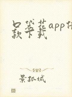 口袋花app借款下载