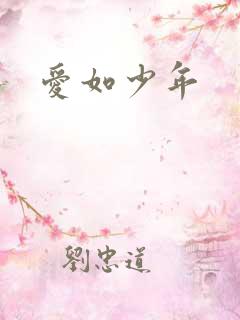 爱如少年