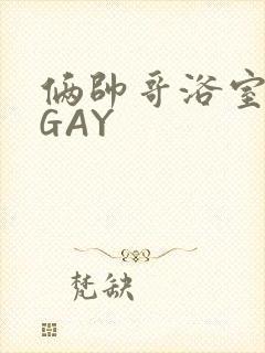 俩帅哥浴室互攻GAY