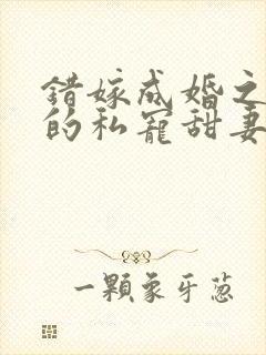 错嫁成婚之总裁的私宠甜妻在线阅读